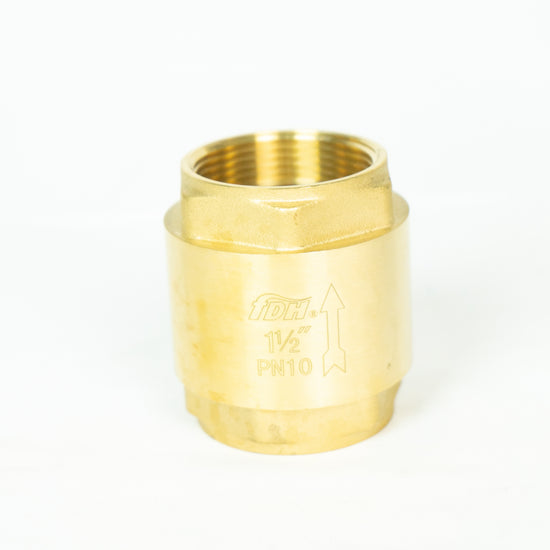 Válvula de Retención Vertical 2 1/2" Asto Nylon