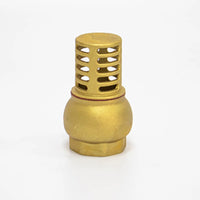 VALVULA DE PIE LATON